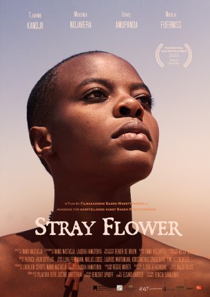 stray-flower-2343-1.jpg