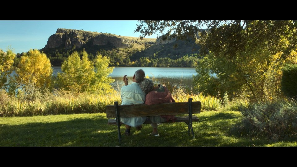 A Perfect Day