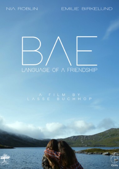 BAE - language of a friendship