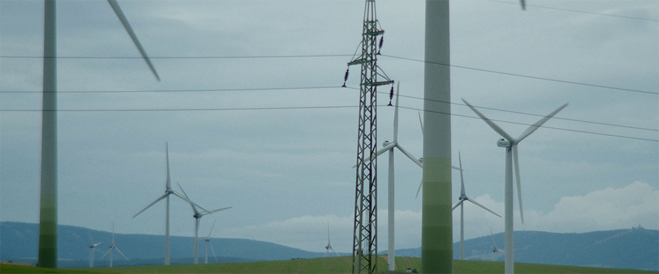 Das Land der Brennesseln