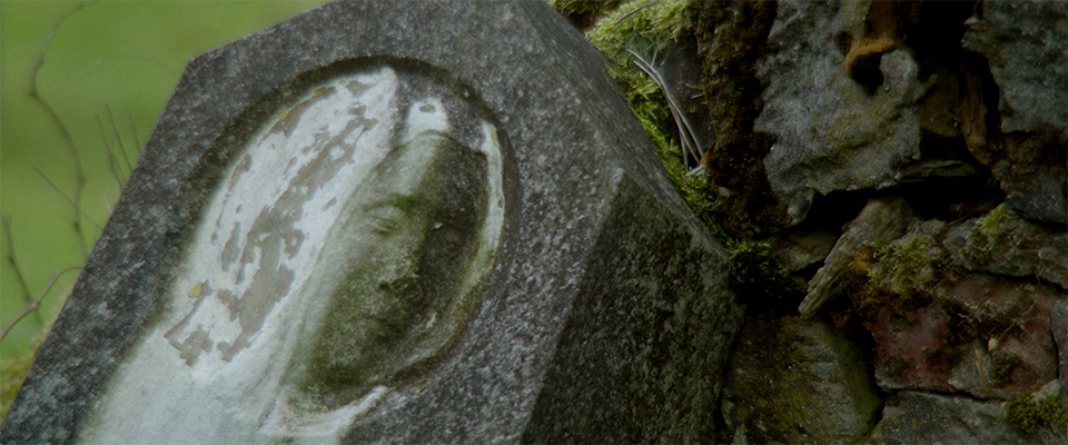 Das Land der Brennesseln