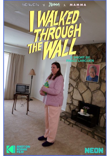 I Walked Through the Wall