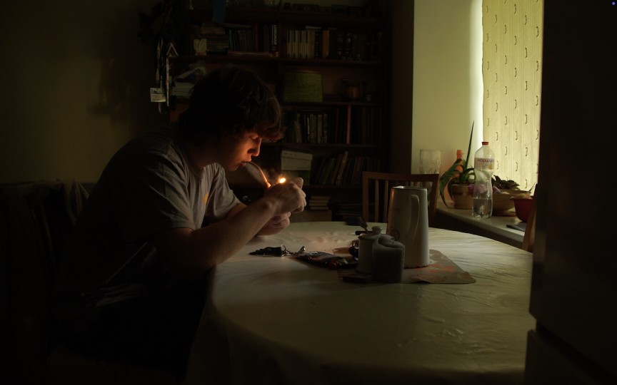 The Birds are Silent