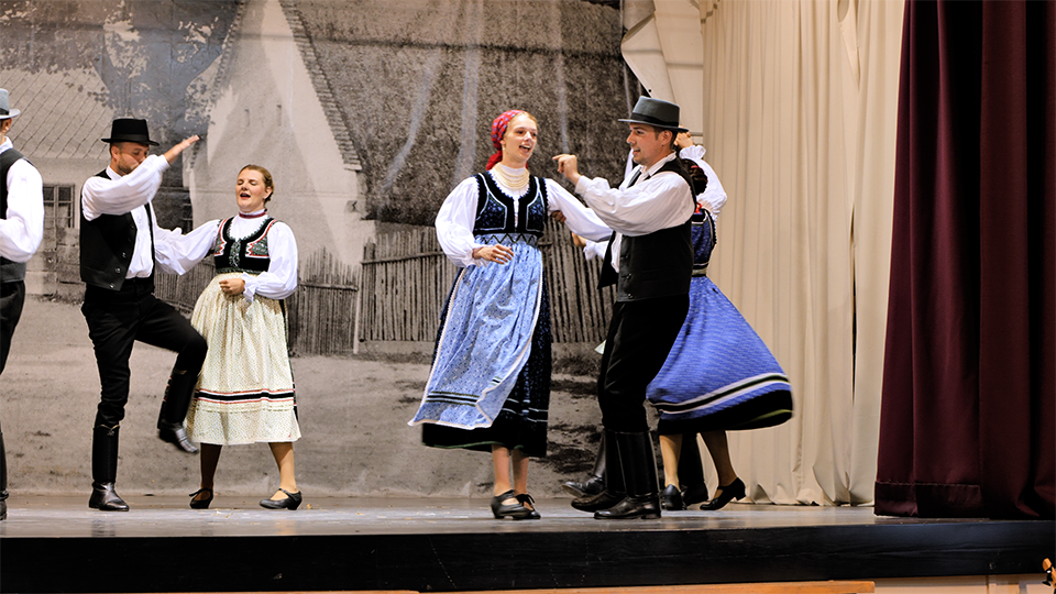 Ungarisch? Deutsch? Ungarndeutsch?