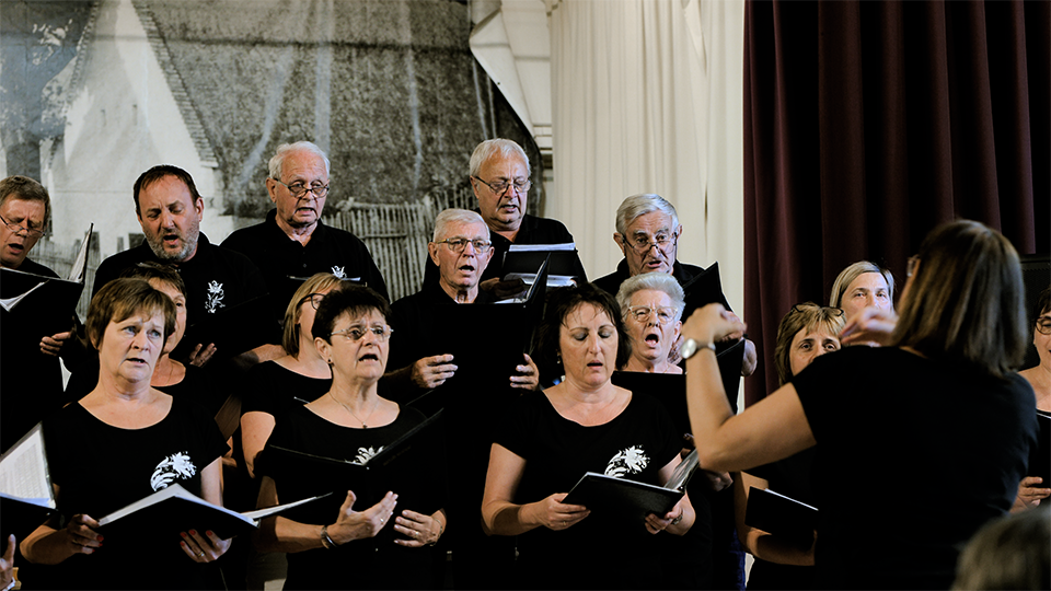 Ungarisch? Deutsch? Ungarndeutsch?